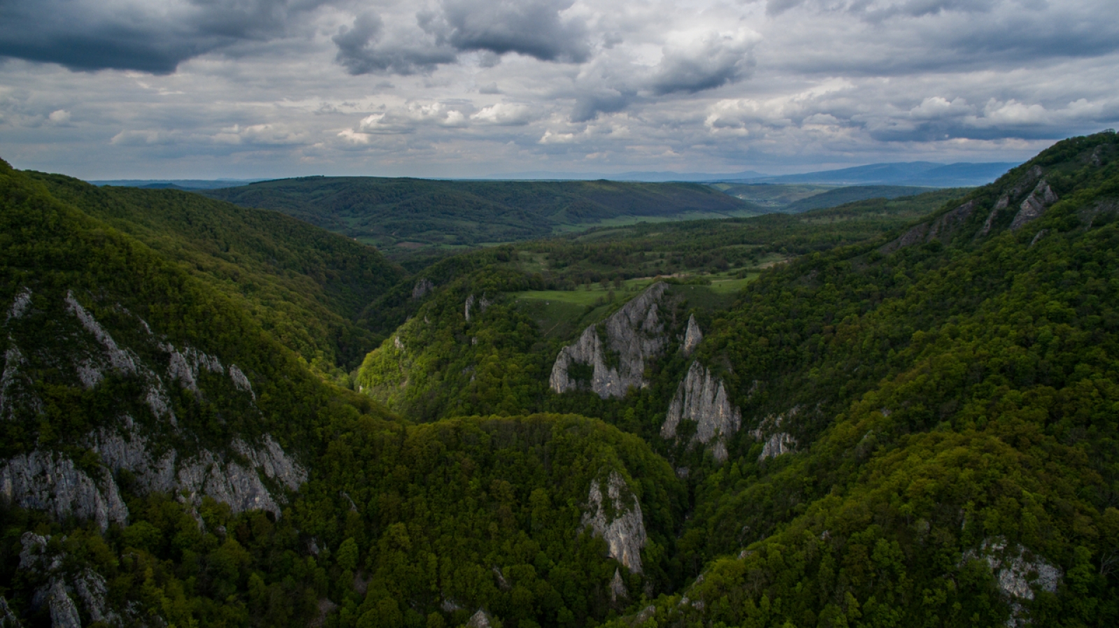 Rezervatia naturala Cheile Varghisului, muntii Parsani,paraul Varghis