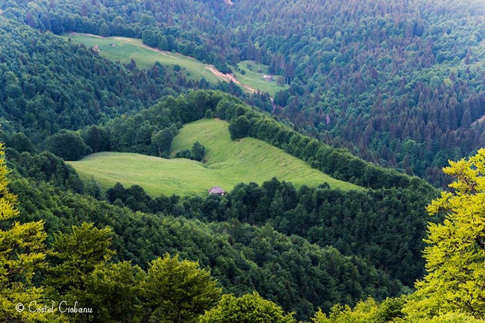 TOP7: obiective turistice în județul Alba