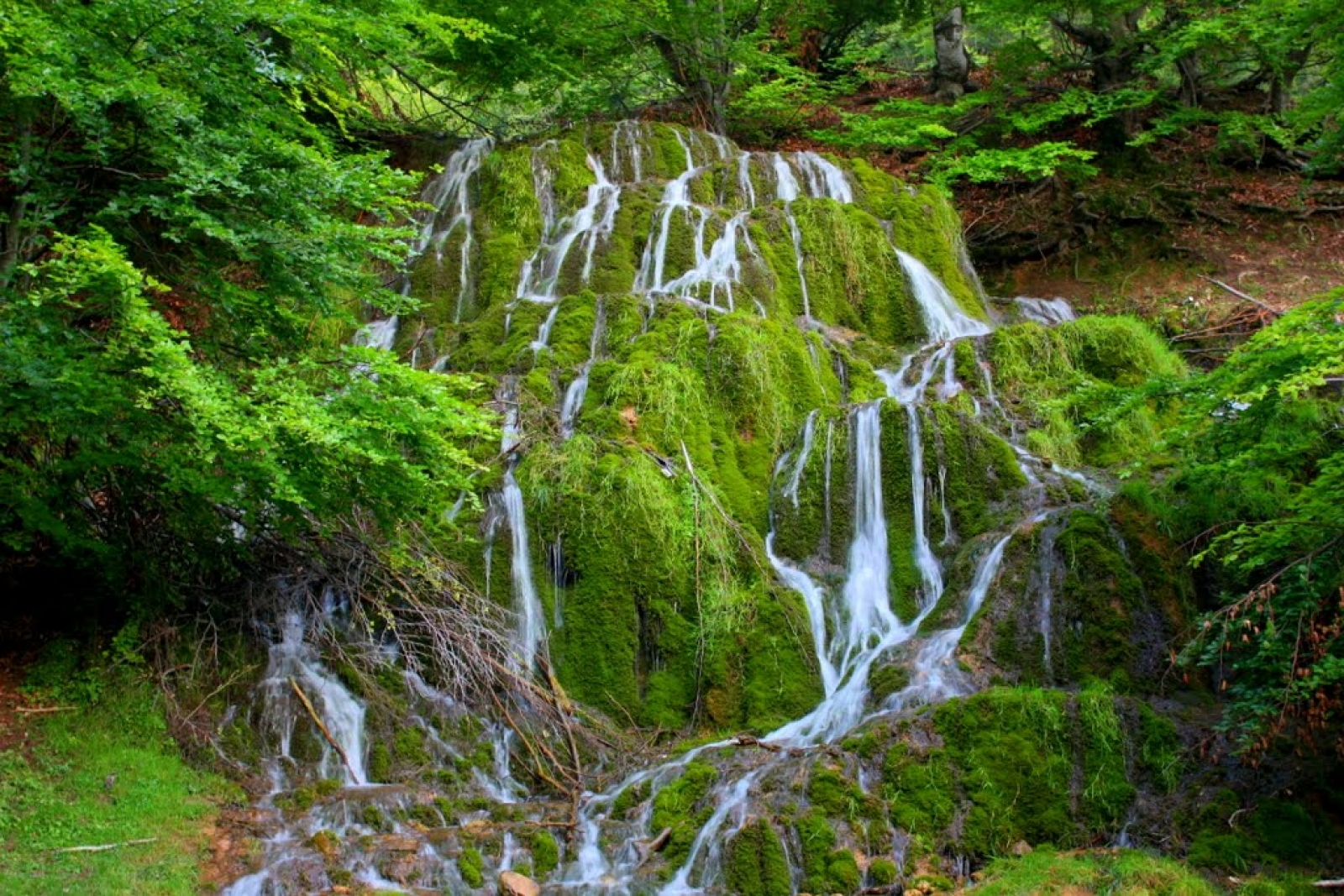 rezervatia izvoarele barcaului, izbucul mare, tusa, judetul salaj