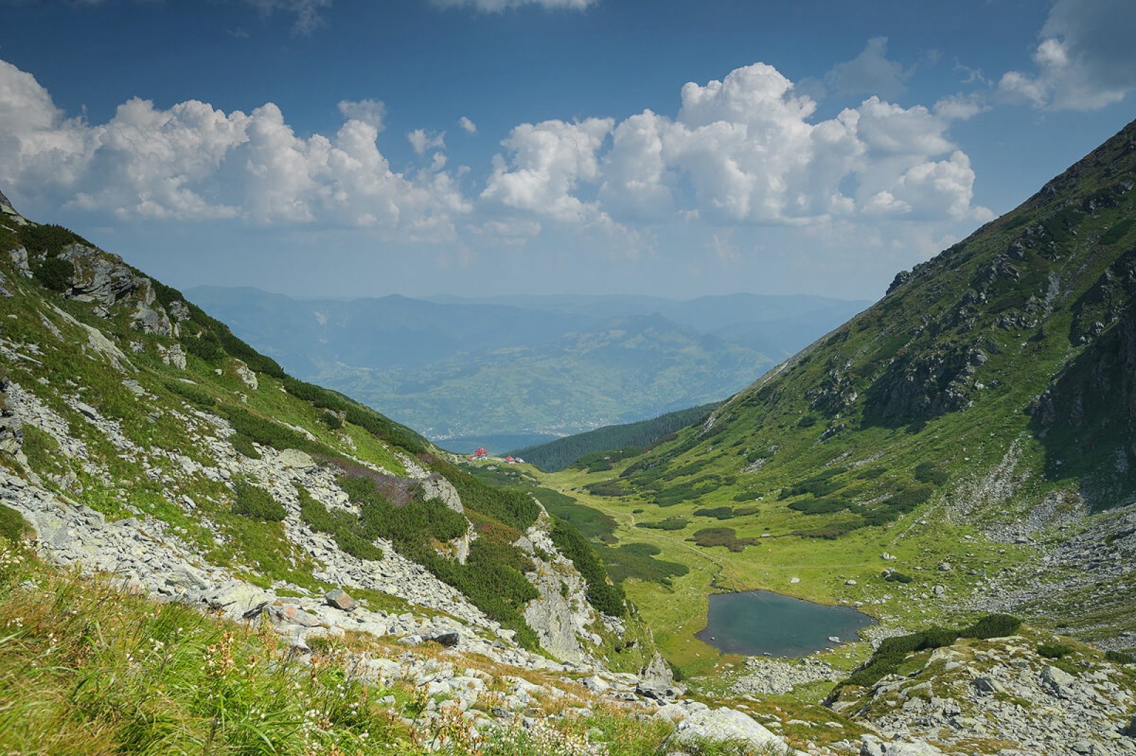 Parcul National Muntii Rodnei, judetul Bistrita-Nasaud