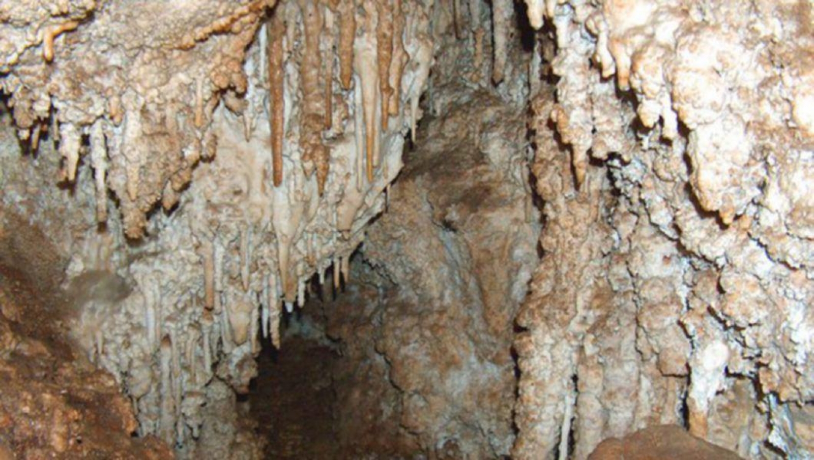 pestera izvorul tausoarelor, judetul bistrita-nasaud, pestera, stalagmite, stalagtite