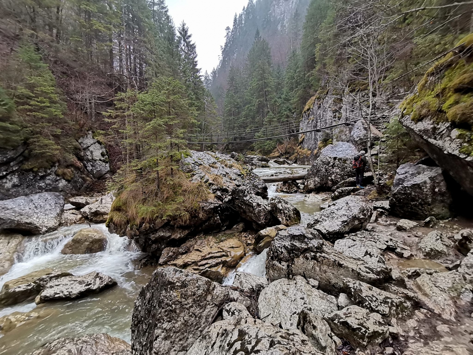 pod, rau, munti, cheile varghisului