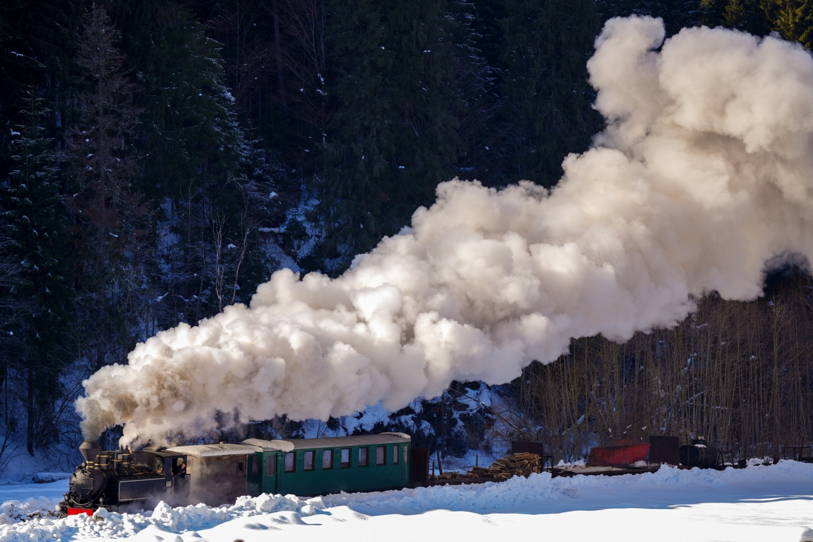 5 informații utile despre călătoria cu Mocănița din Maramureș