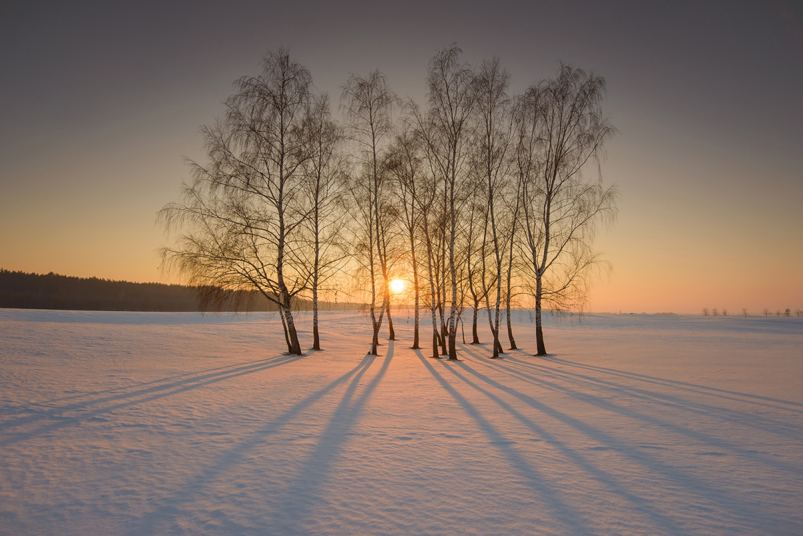 mestecanisul de la reci, rezervatie natural protejata, judetul Covasna