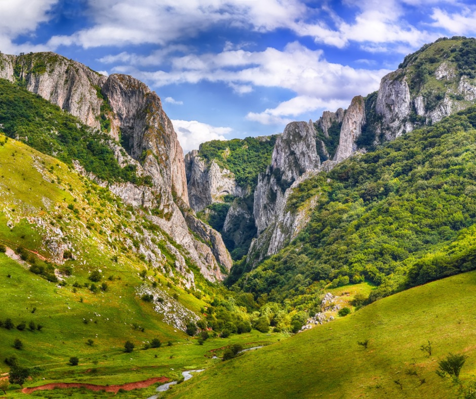 rezervatia naturala cheile turzii, munti, stanci, natura, judetul Alba