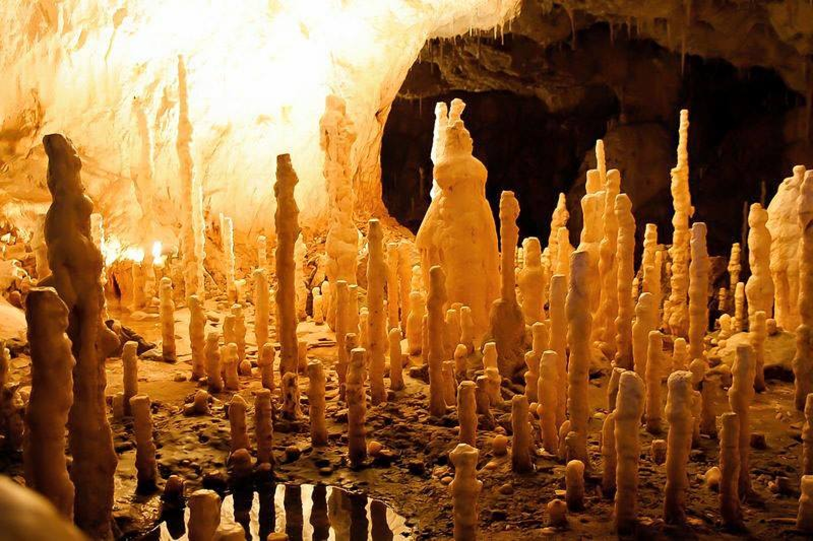 pestera ursilor, pestera, caverna, stalagmite, stalagtite