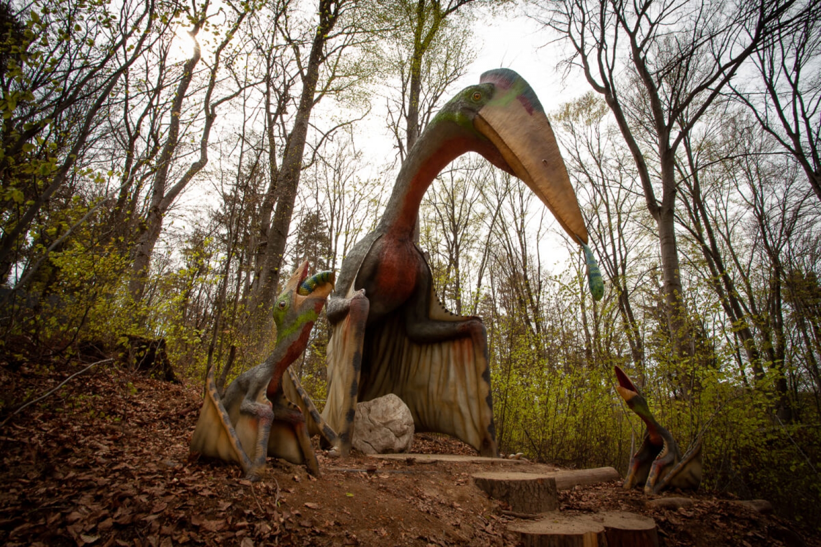 dino parc rasnov, dinosauri, pteranodon, pderodactil 