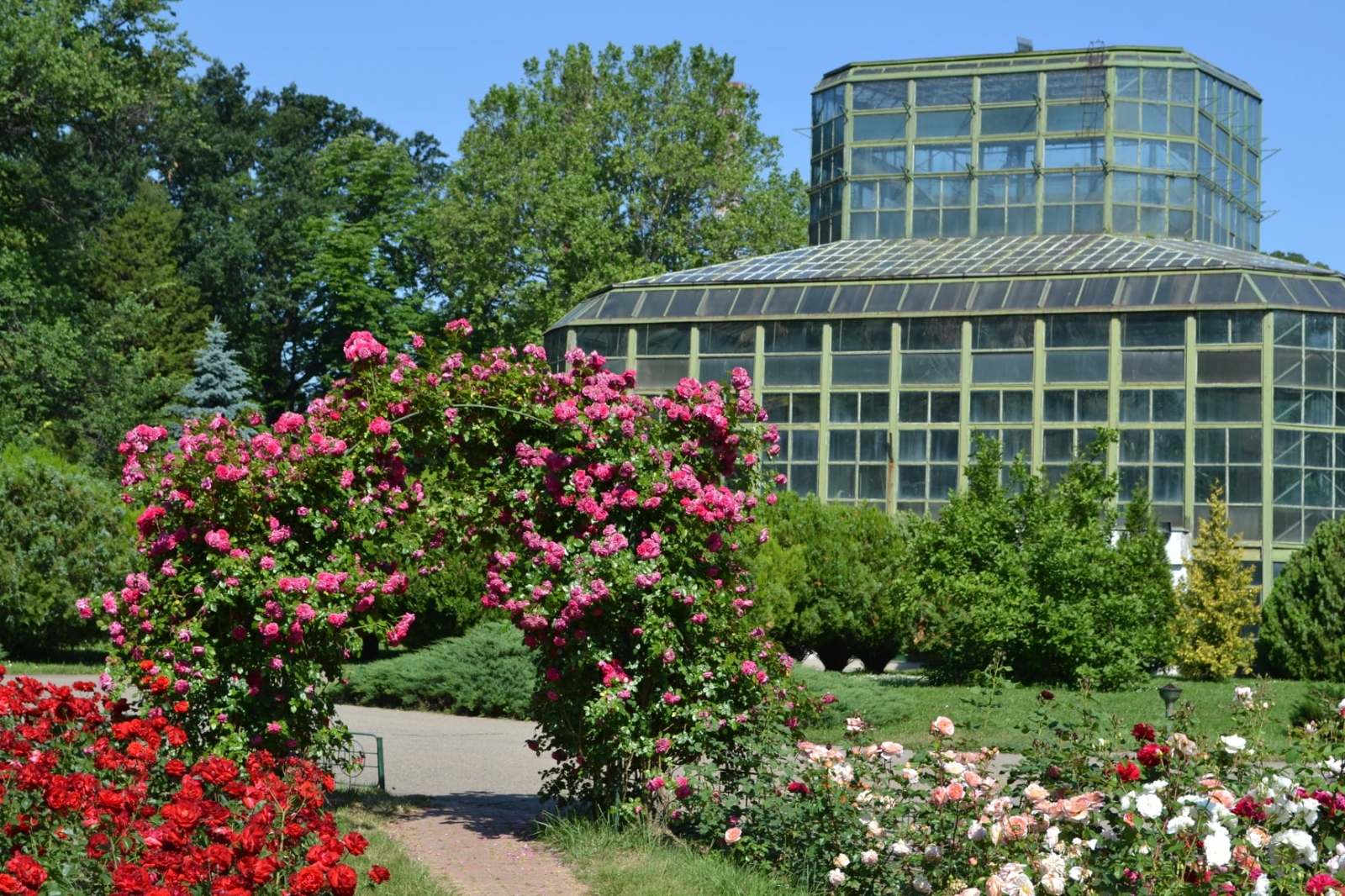 Gradina Botanica Dimitrie Brandza, bucuresti