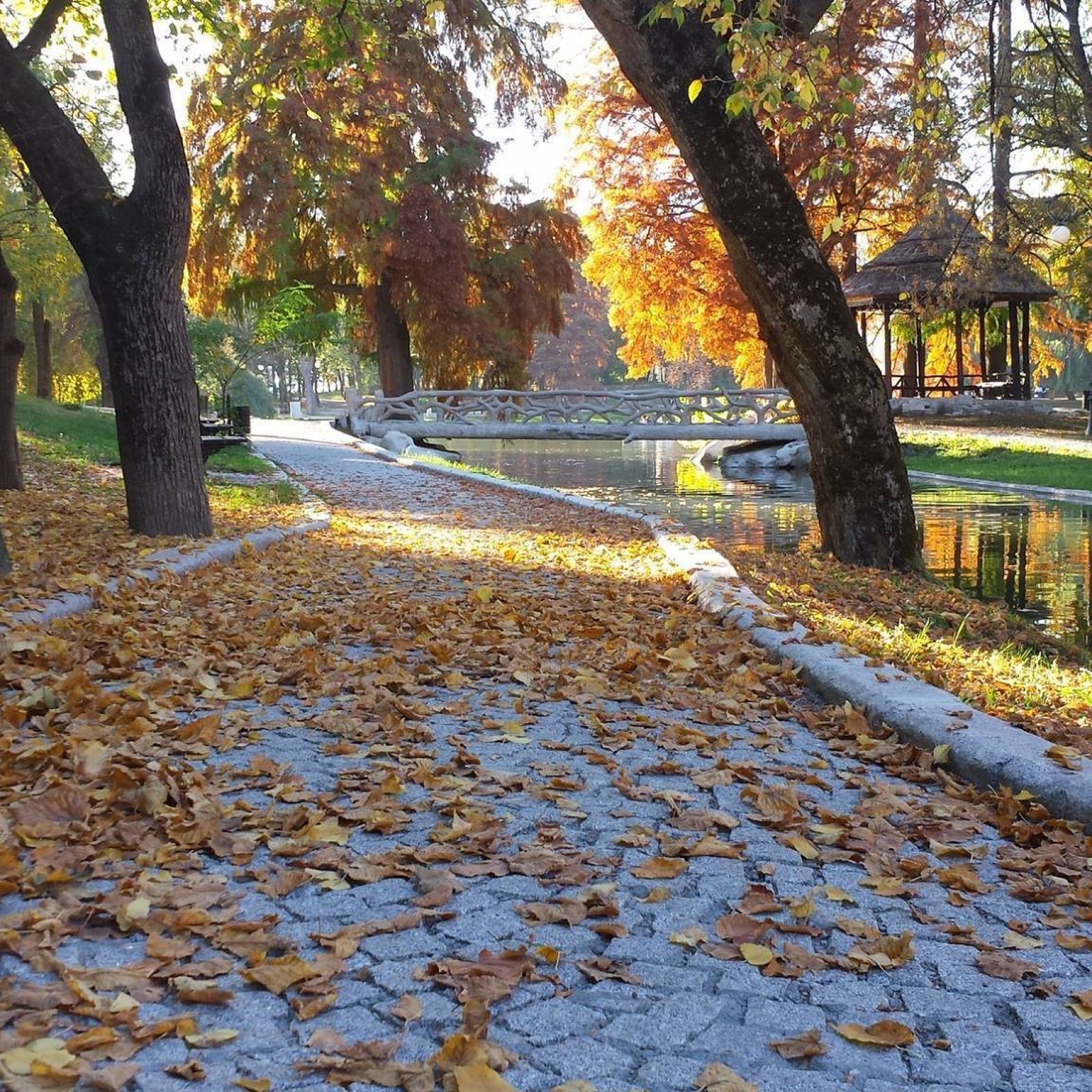 Parcul Nicolae Romanescu, Craiova