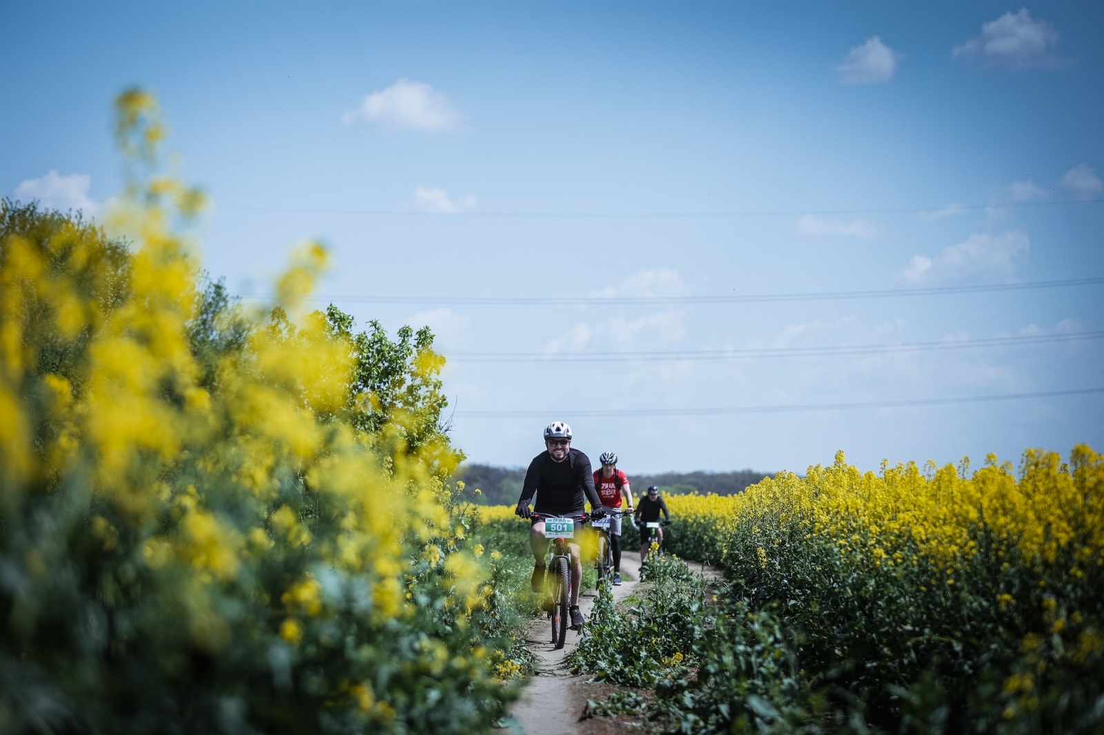 Cramele Recaș, biticlisti