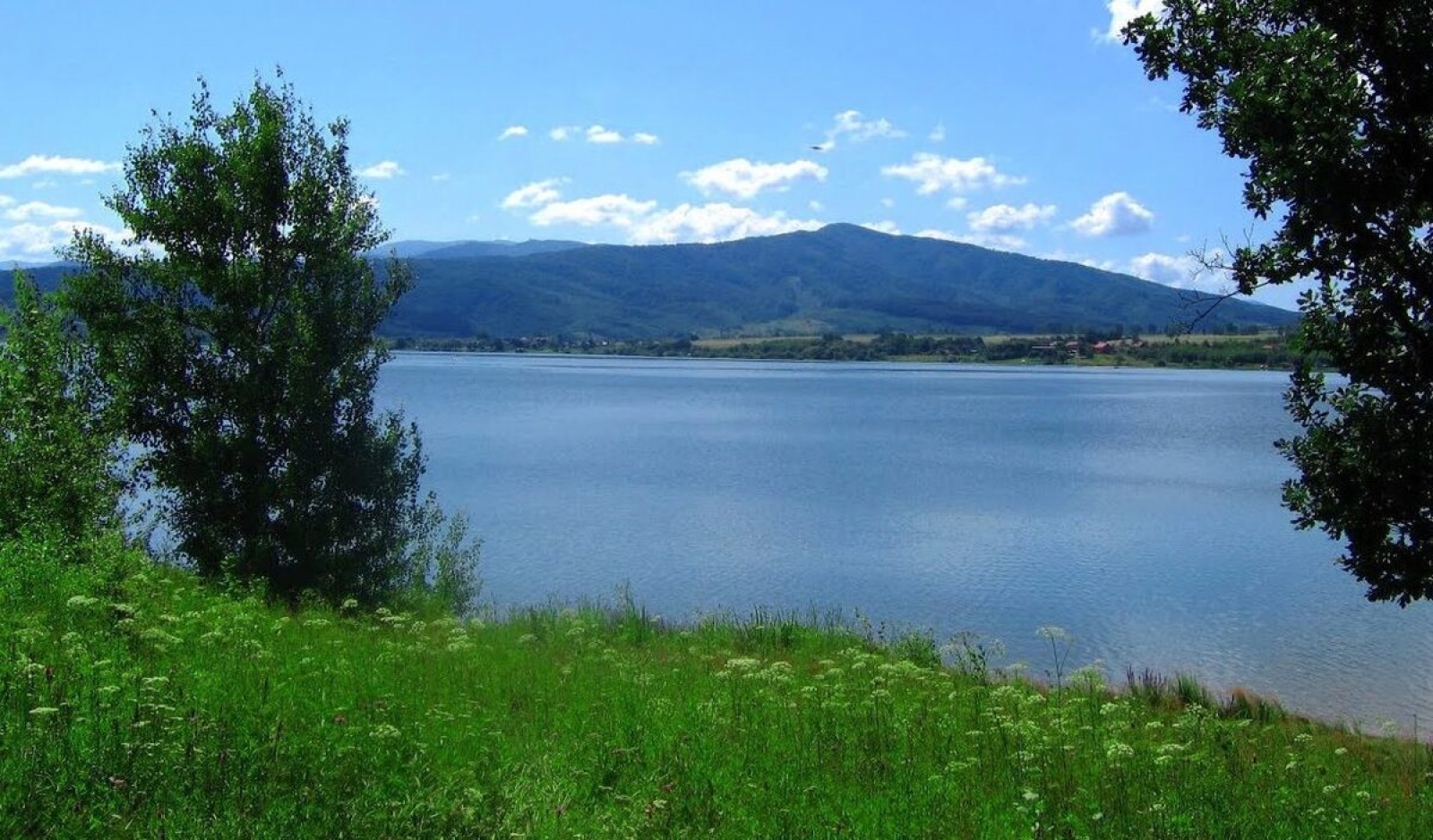 Lacul Surduc, lac, natura