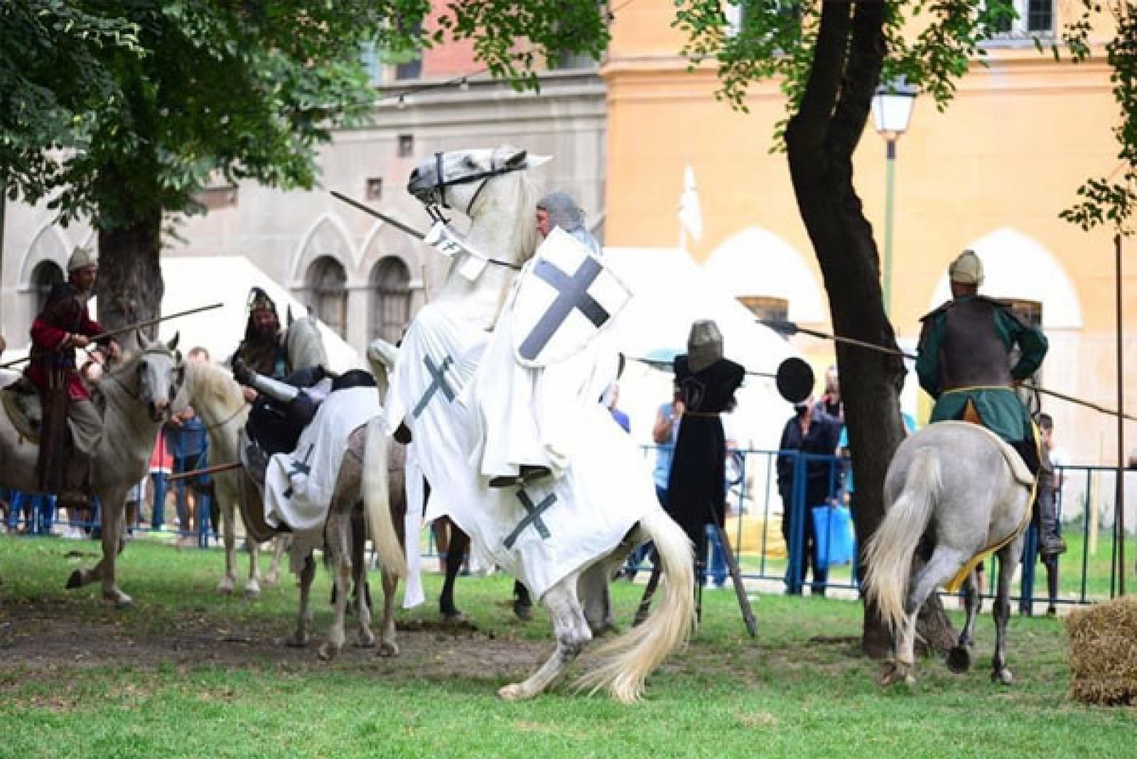 Demonstrație de luptă medievală, Teutonic fest Honigberg, Hărman, Județul Brașov, cavaler teuton pe cal alb