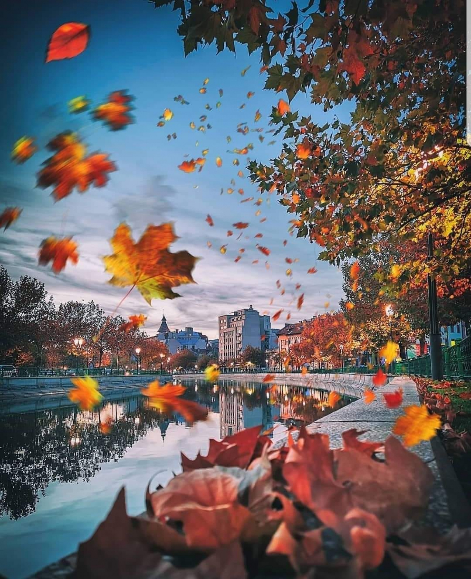 Bucureștiul, toamna 