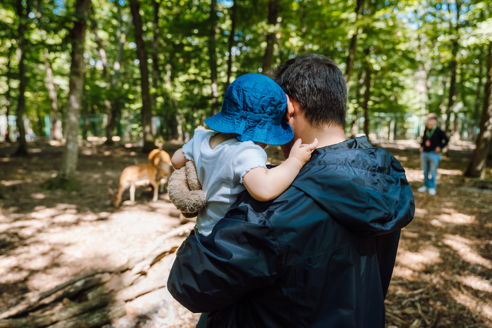 The top 3 most beautiful zoos in Romania that you should visit today