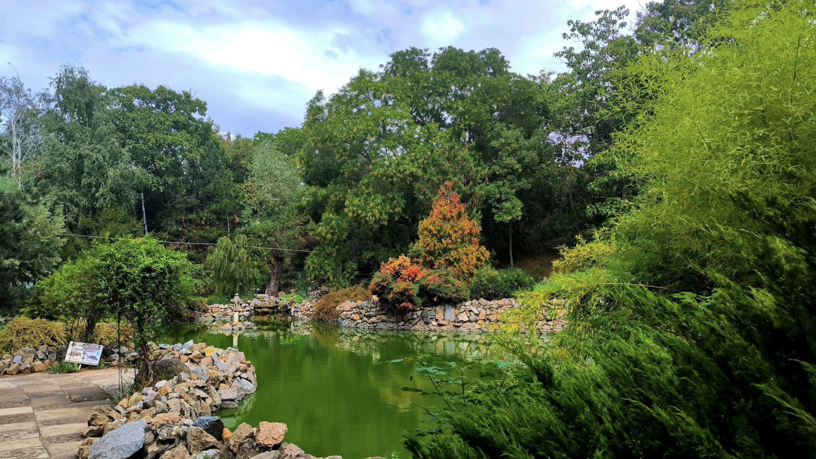 Răsvan Angheluță Natural Sciences Museum Complex