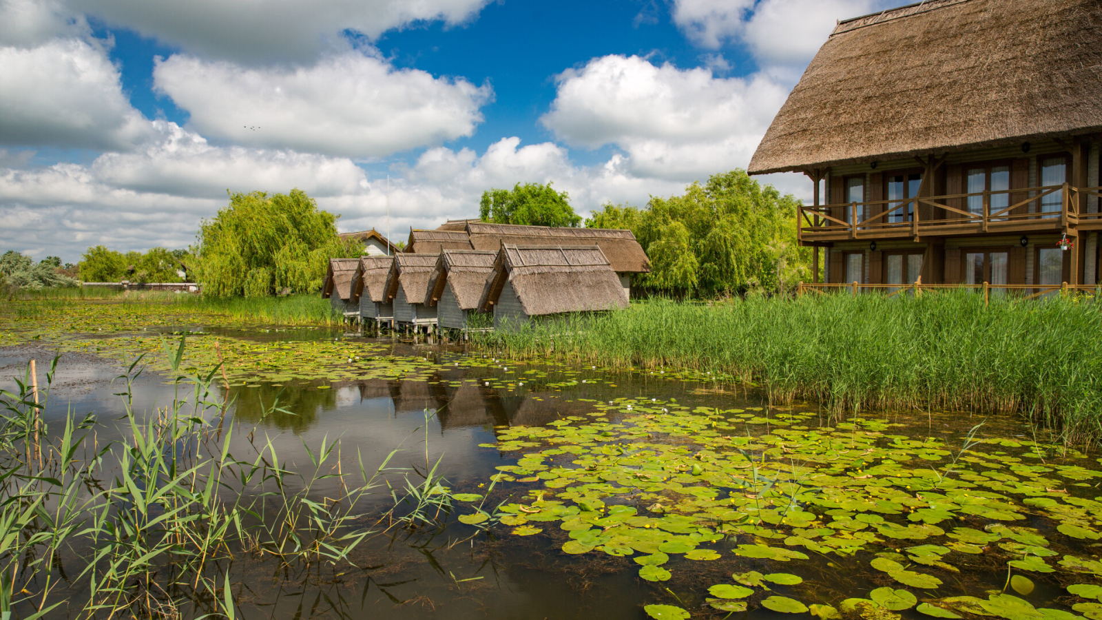 Delta Dunării&nbsp;