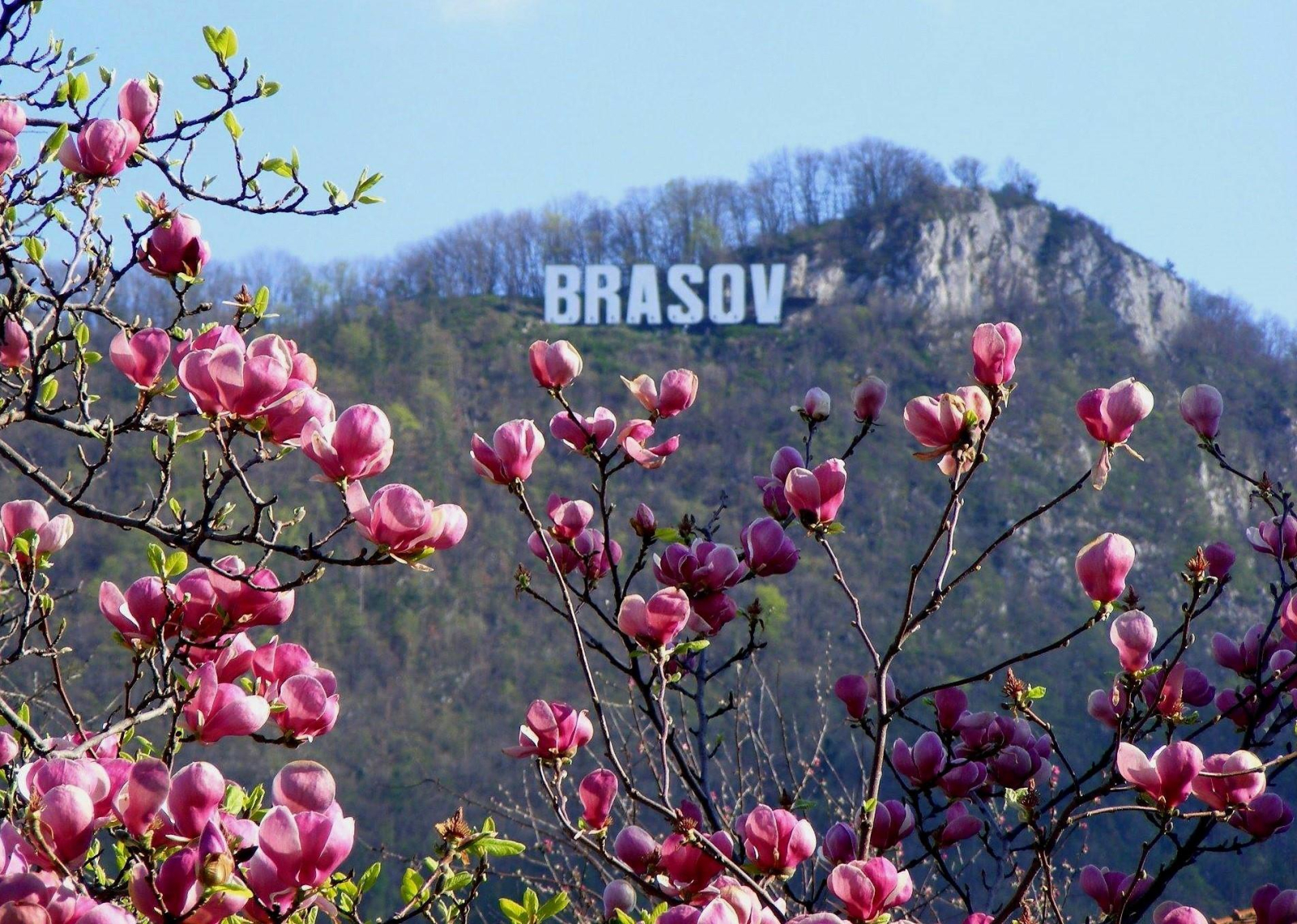 Top 7 orașe de vizitat această primăvară în România